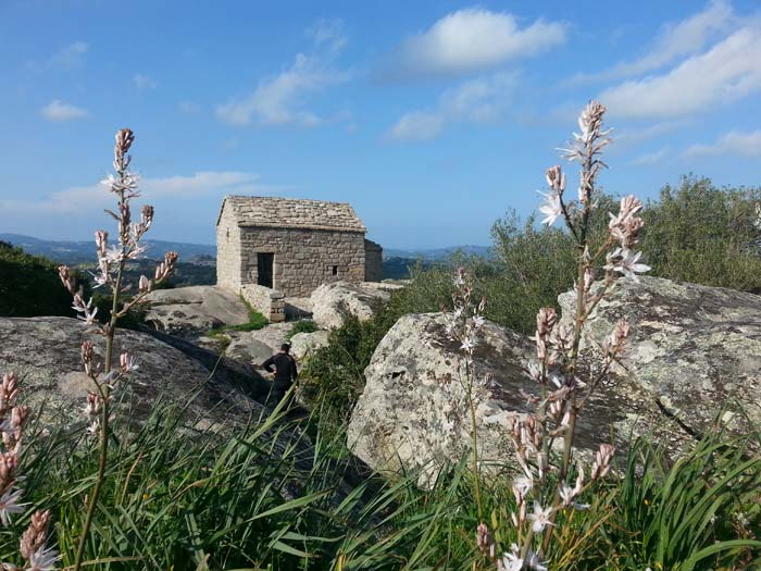 Luogosanto, the sacred medieval village in the heart of Gallura